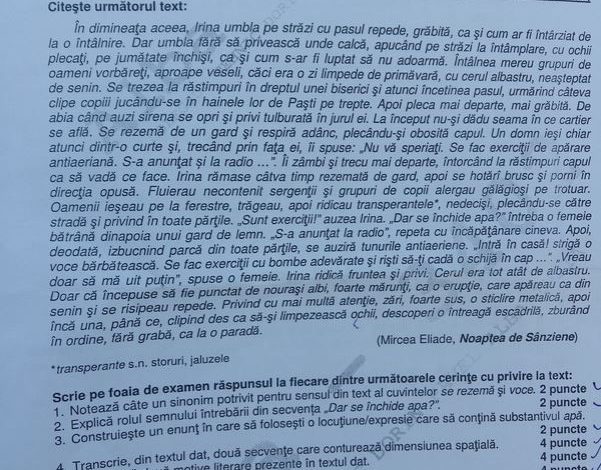 BAC 2016. Subiect greu „comestibil” la română 1 realromn.jpg
