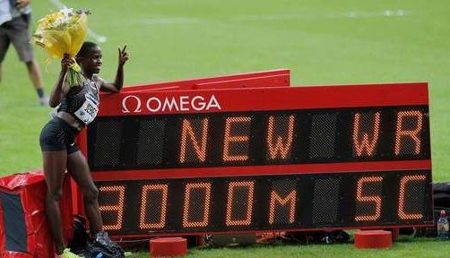 RECORD MONDIAL de senzație!!! 1 record.jpg