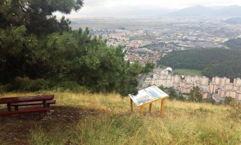 BRAŞOV. Poteca tematică „Fluturi și flori pe Muntele Tâmpa” a fost finalizată 1 tampapotecfluturi2.jpeg