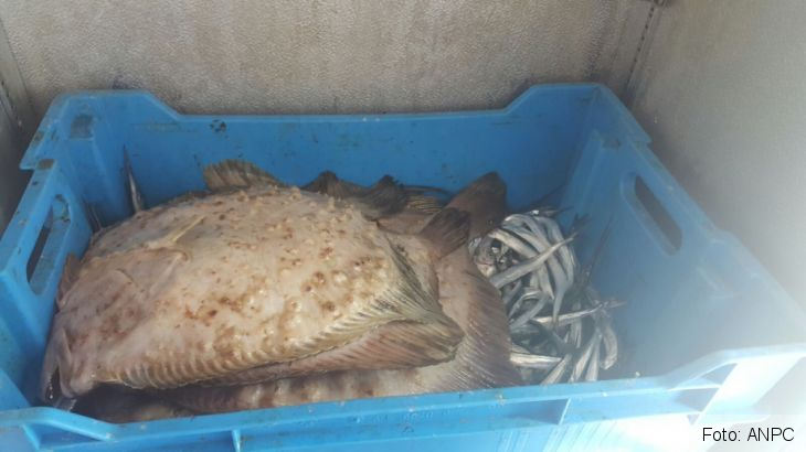 Terasă închisă de Protecţia Consumatorilor în Mamaia! Ce au găsit comisarii, după ce câtorva turişti li s-a făcut rău de la mâncare (FOTO) 1 terasa mare_219354.jpg