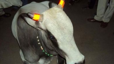 vaciindia_219934.jpg