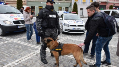 ziuapolitieimartie 03_208149.JPG