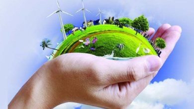04environment-1-0.jpg