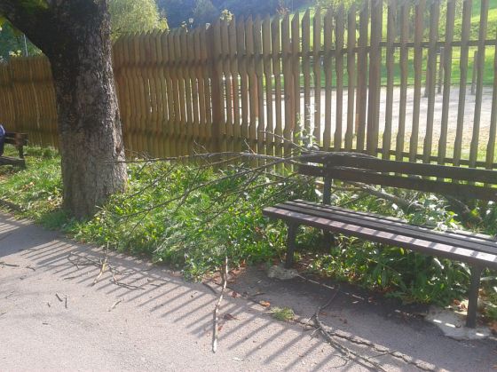 BRAŞOV. Pericol de accidente pe strada Şirul Livezii 1 2016-09-18 14.46.09_222542.jpg