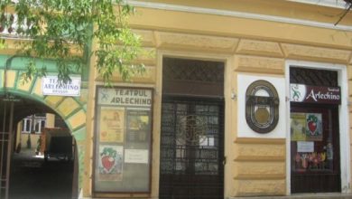 Arlechino0_221195.JPG