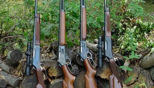 Protejarea prin împușcare 1 armeurs.jpg