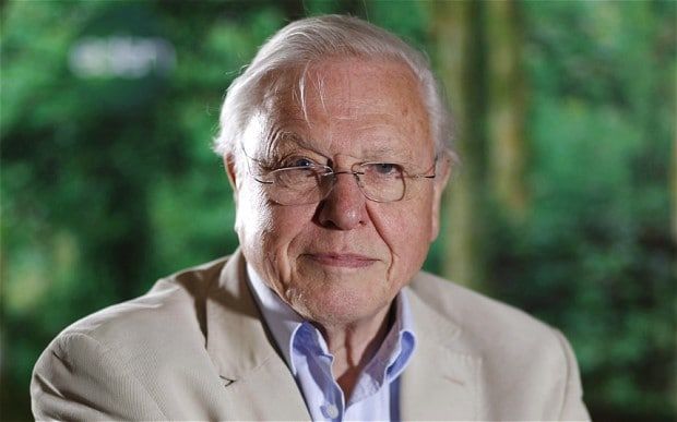 Omenirea este „ciumă pentru Pământ“! Vezi cine spune și de ce! 1 attenborough.jpg