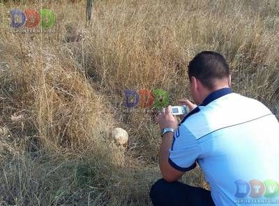 Au găsit un craniu uman când s-au dus la grătar 1 craniu.jpg
