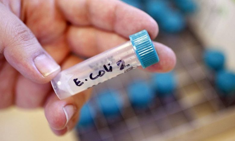 ecoli_2.jpg