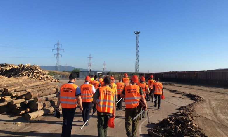Reprezentanţii Holzindustrie spun că cedează lemnul suplimentar către stat 1 holz.jpg