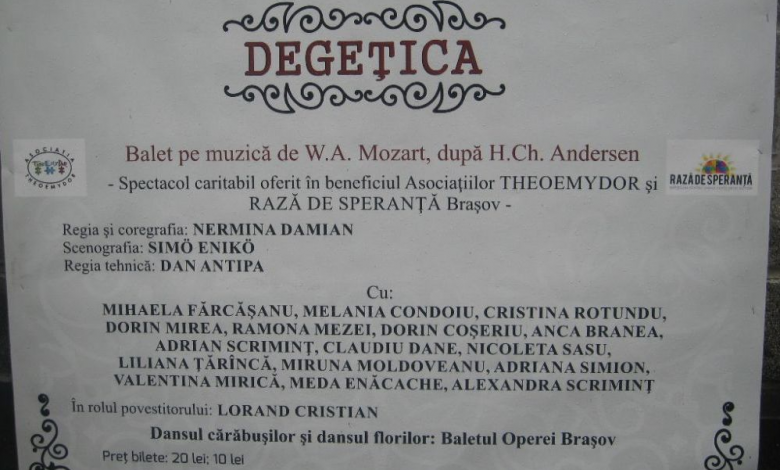 BRAȘOV. Mergeți la „Degețica” pentru a-i ajuta pe copiii cu autism 1 img-3680.jpg