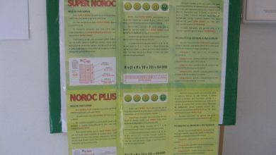 loto_32.jpg