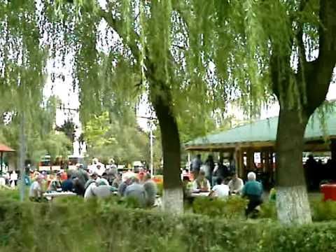 BRAŞOV. De ziua lor, vârstnicii îşi vor putea lua tensiunea arterială gratuit, în Parcul „Someş” 1 parculsomes.jpg