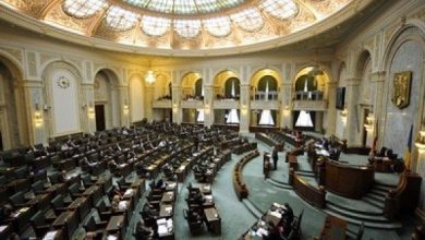 senat_3.jpg