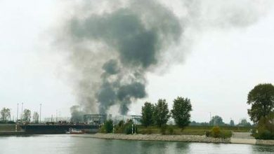 basf.jpg