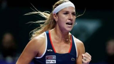 cibulkova_3.jpg