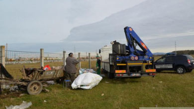 deseuri zizin 2_224138.jpg