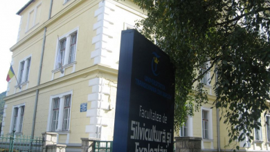 img-4332.jpg