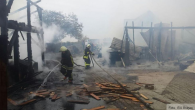 incendiutarlungenigater.jpg