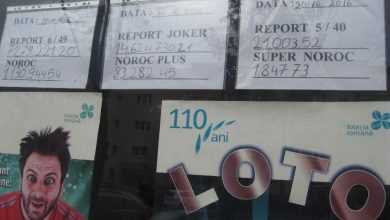 loto_41.jpg
