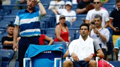 novak_2.jpg