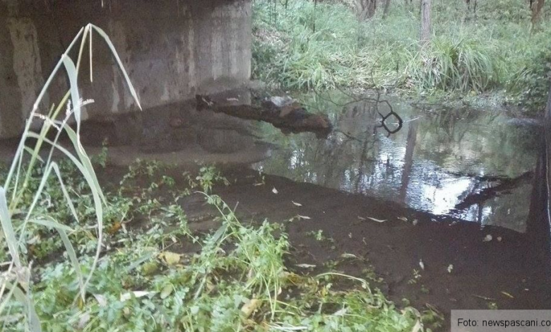 Bărbat găsit mort sub un podeț, în această seară, la câteva zile de la dispariție 1 podet.jpg