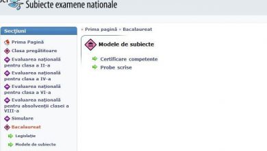 bac_3.jpg
