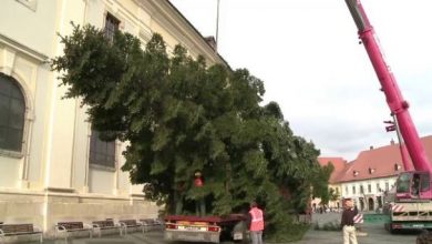 bradsibiu2.jpg