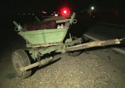Căruţaş mort în urma impactului dintre atelaj şi un autoturism condus de o femeie 1 carutanoaptea_3.jpg