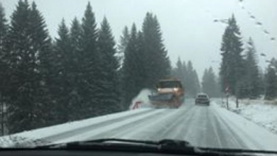 deszapezire poiana_225322.jpg