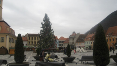 img-0085.jpg