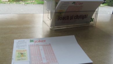 loto_42.jpg