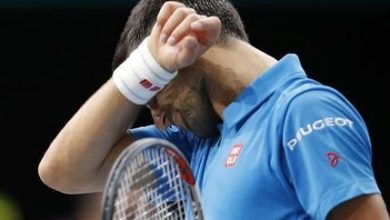 novak_4.jpg