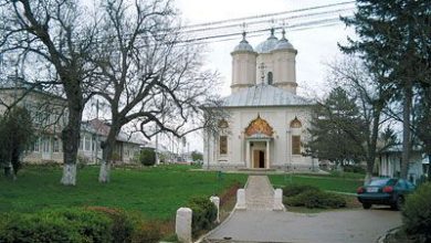 pasarea.jpg