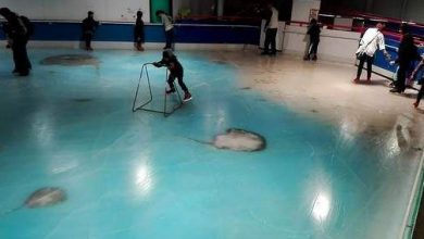 patinoar.jpg