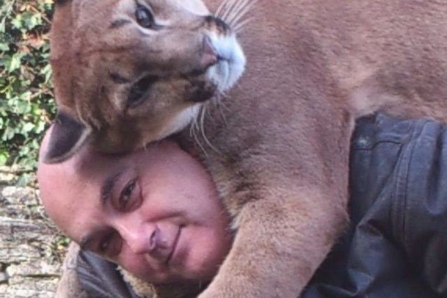 puma_2.jpg