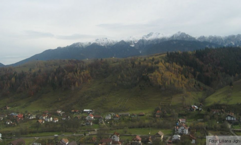 Update BRAȘOV. Ce s-a mai întâmplat cu lupul de la Șimon-Bran 1 simonbran.jpg