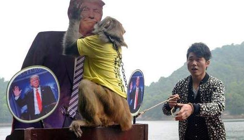 Donald Trump, „VOTAT” de o maimuţă!!! 1 trump_6.jpg