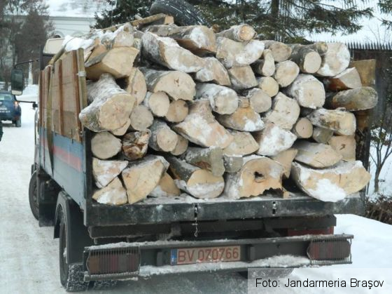 BRAȘOV. Transport neconform de material lemnos, depistat între Părău și Șercaia 1 15589737_1219363728147329_3263935302022001380_n_228110.jpg