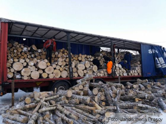 BRAŞOV. Controale în păduri şi pe şosele, pentru combaterea delictelor silvice (GALERIE FOTO) 1 15697270_1219361158147586_5434829431655975843_n_228117.jpg