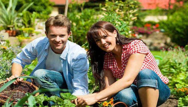 AFIR. Fondurile alocate prin PNDR pentru finanțarea fermelor mici și de familie s-au epuizat 1 agricultura1_2.jpg