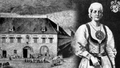 apolloniahirscher.jpg