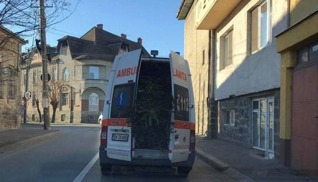 INCREDIBIL. Ambulanţă folosită pentru căratul... brazilor 1 brazi_2.jpg