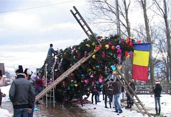 BRAȘOV. Se „ridică” brazii 1 brazi_3.jpg