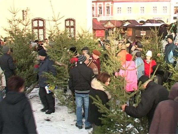 brazipiatasfatului.jpg