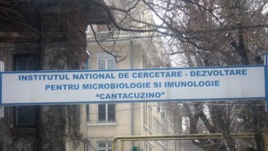 cantacuzino.jpg