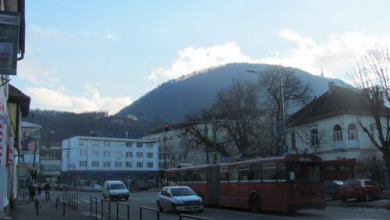 castanilor2.jpg