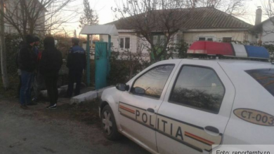 crima constanta 2_226800.jpg