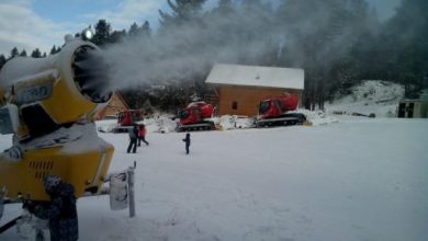 partie poiana 1_226829.jpg