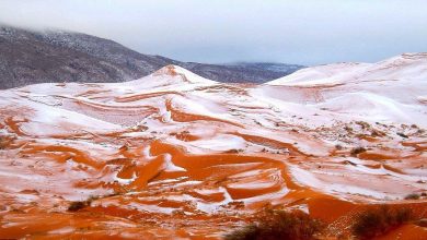 sahara.jpg